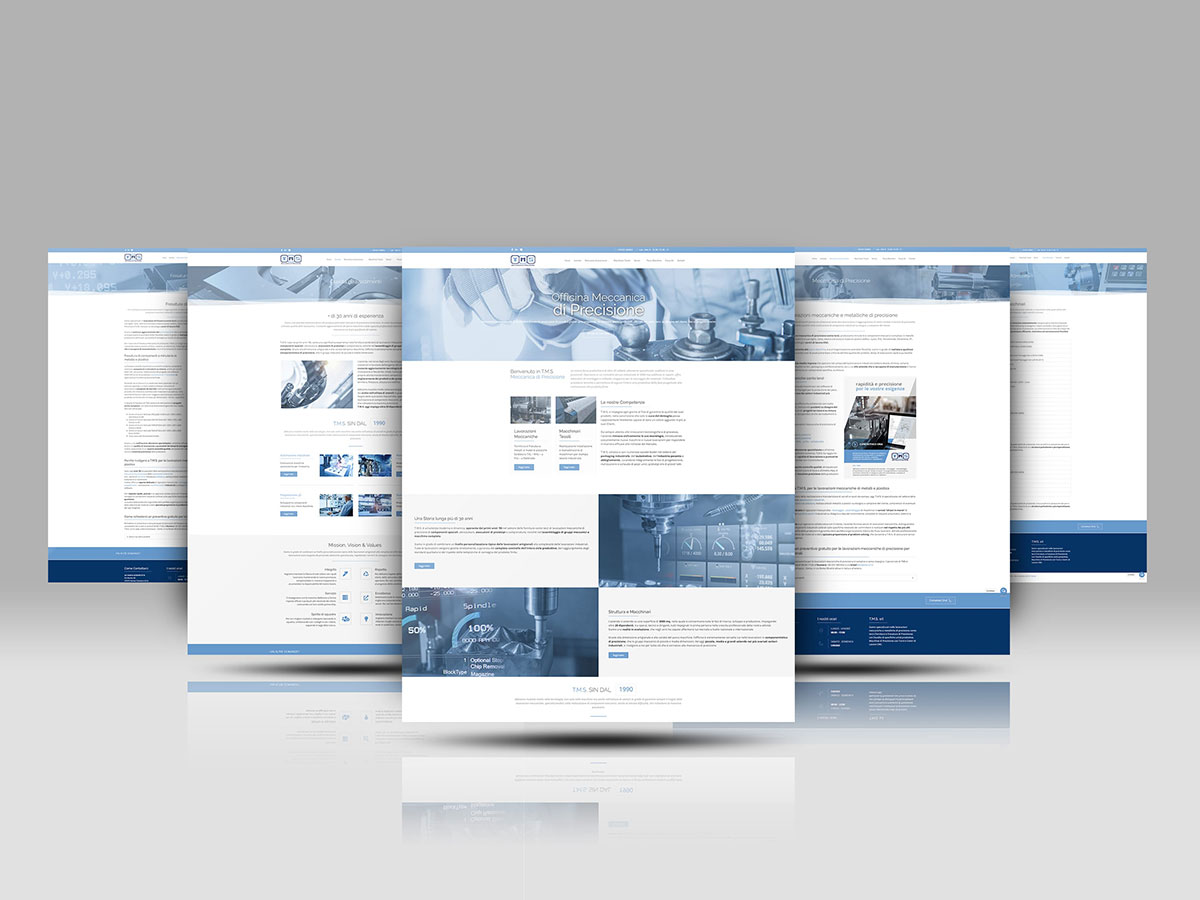 Realizzazione sito internet TMS